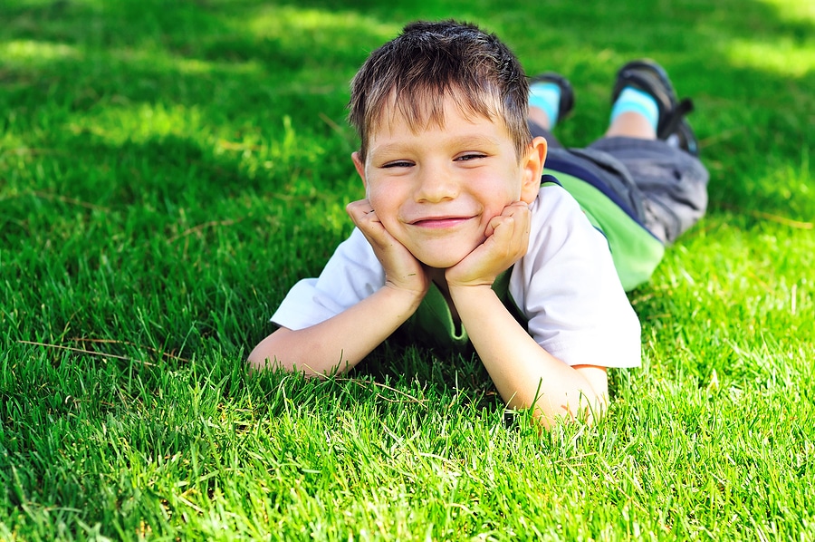 How Fertilization Helps Your Lawn Stay Green Through Summer