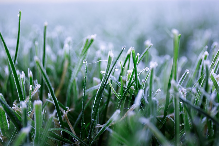 Why Winter Is the Perfect Time to Prepare Your Property
